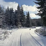 Przystanek Dzika Dolina *