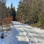 Przystanek Dzika Dolina شقة Lądek-Zdrój