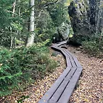 Przystanek Dzika Dolina * Lądek-Zdrój