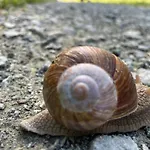 شقة Przystanek Dzika Dolina Lądek-Zdrój