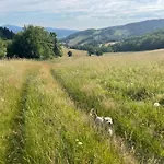 Przystanek Dzika Dolina شقة *