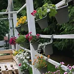 Przystanek Dzika Dolina * Lądek-Zdrój