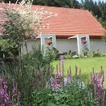 Przystanek Dzika Dolina