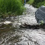 Przystanek Dzika Dolina Lądek-Zdrój
