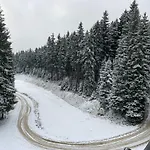 Przystanek Dzika Dolina *