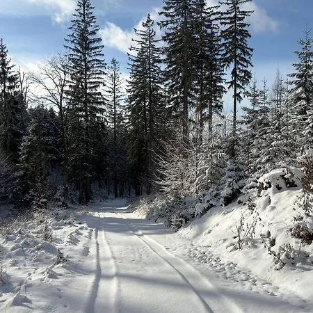 Przystanek Dzika Dolina Lądek-Zdrój