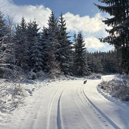 Przystanek Dzika Dolina *