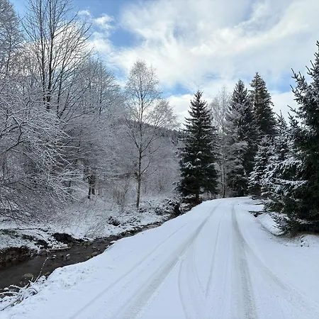 Przystanek Dzika Dolina Apartman *