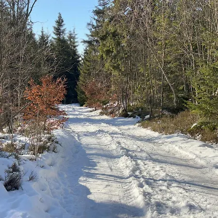 Przystanek Dzika Dolina Apartman Lądek-Zdrój