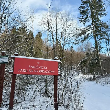 Przystanek Dzika Dolina * Lądek-Zdrój