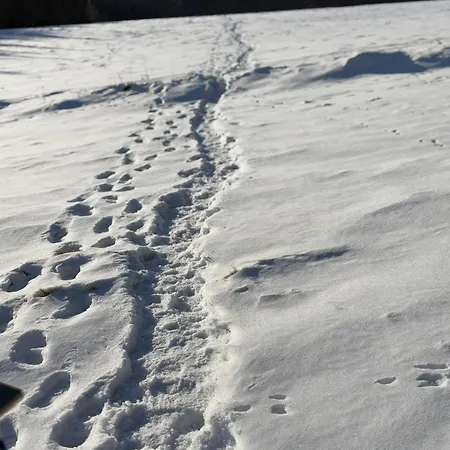 Przystanek Dzika Dolina * Lądek-Zdrój