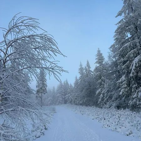 Apartman Przystanek Dzika Dolina Lądek-Zdrój