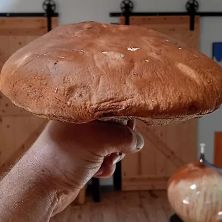 Przystanek Dzika Dolina Lądek-Zdrój