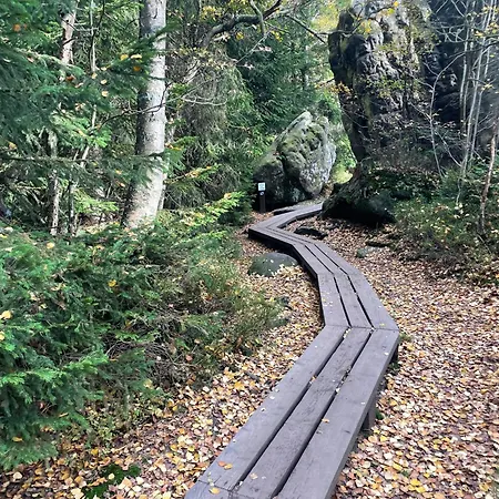 Przystanek Dzika Dolina * Lądek-Zdrój