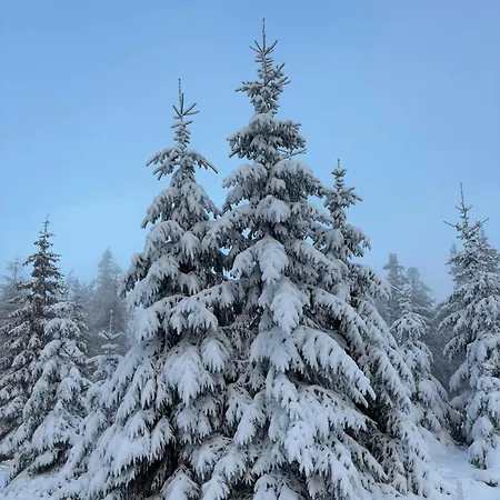 Apartman Przystanek Dzika Dolina