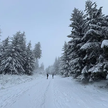Przystanek Dzika Dolina Apartman Lądek-Zdrój
