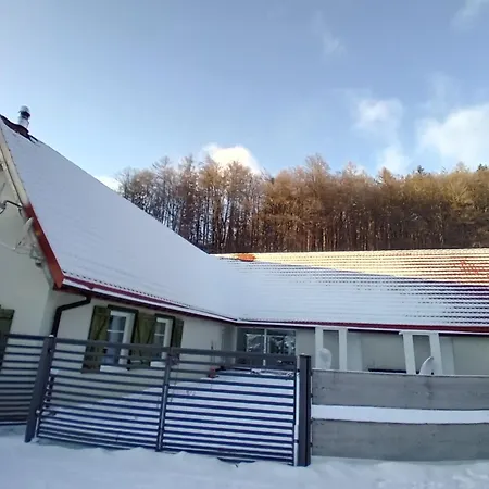 Przystanek Dzika Dolina *