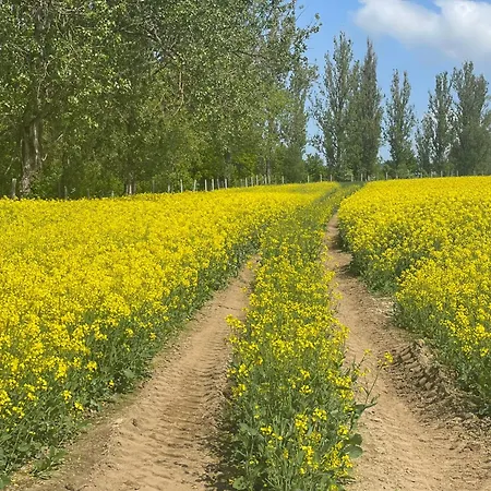Przystanek Dzika Dolina Apartman