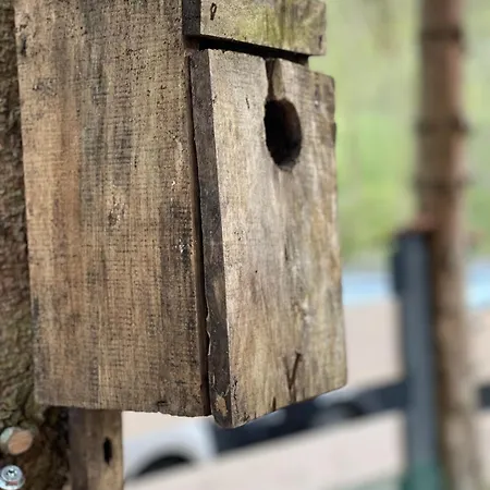 Apartman Przystanek Dzika Dolina