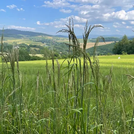 Przystanek Dzika Dolina Apartman *