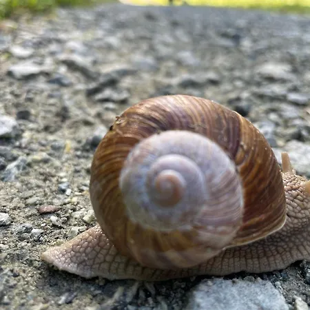 Apartman Przystanek Dzika Dolina Lądek-Zdrój