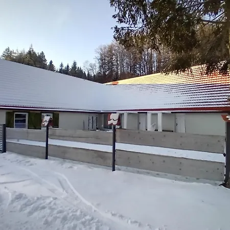 Przystanek Dzika Dolina *