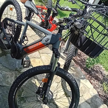 Przystanek Dzika Dolina Apartman