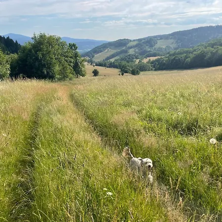 Przystanek Dzika Dolina Apartman *