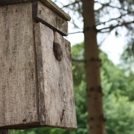 Apartman Przystanek Dzika Dolina *