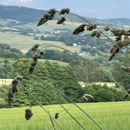 Przystanek Dzika Dolina Apartman Lądek-Zdrój