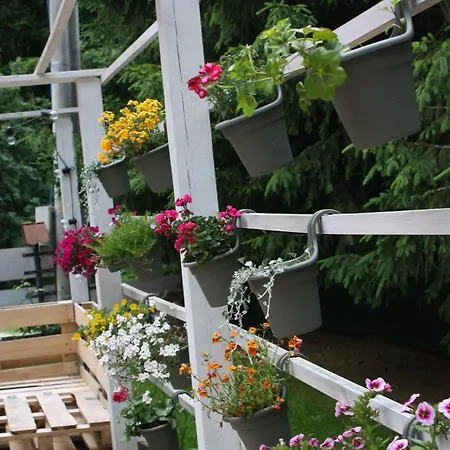 Przystanek Dzika Dolina * Lądek-Zdrój