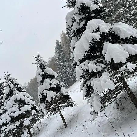 Apartman Przystanek Dzika Dolina