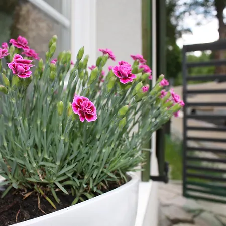 Apartman Przystanek Dzika Dolina Lądek-Zdrój