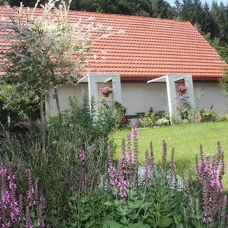 Przystanek Dzika Dolina