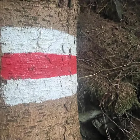 Apartman Przystanek Dzika Dolina