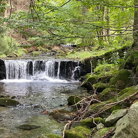 Przystanek Dzika Dolina *