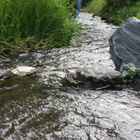 Przystanek Dzika Dolina Lądek-Zdrój