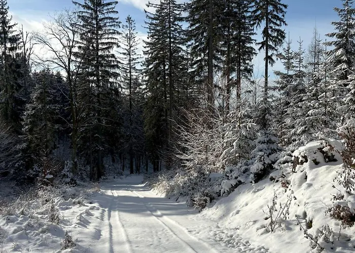 Przystanek Dzika Dolina Ladek-Zdroj