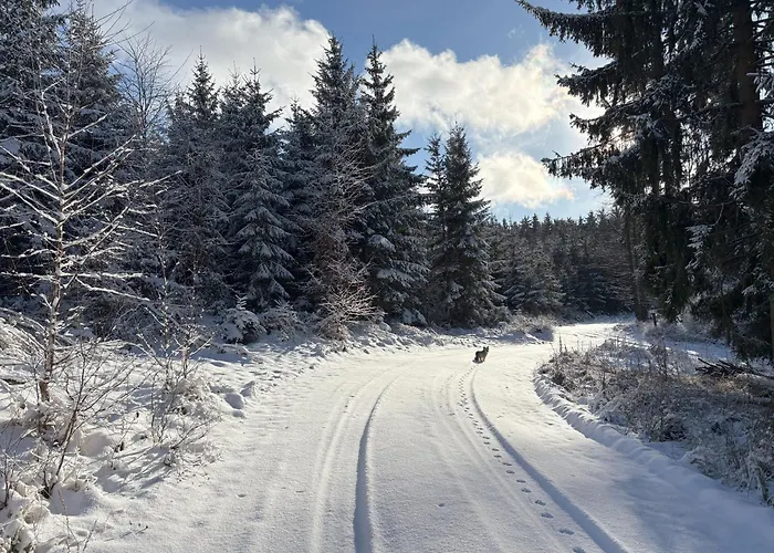 Przystanek Dzika Dolina *