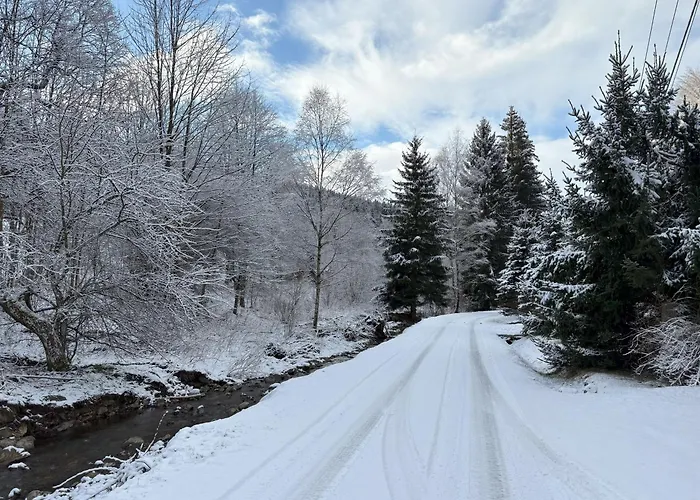 Przystanek Dzika Dolina Apartment *