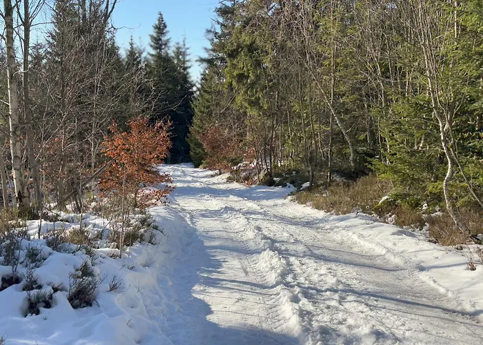 Przystanek Dzika Dolina Apartment Ladek-Zdroj