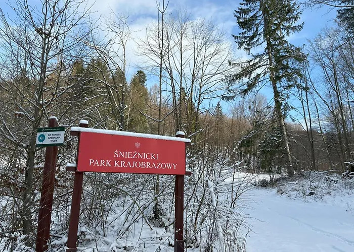 Przystanek Dzika Dolina * Ladek-Zdroj