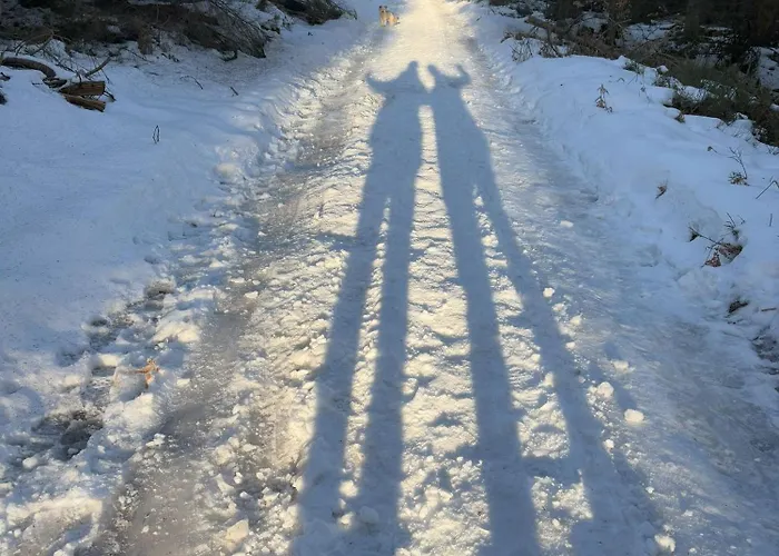 Apartment Przystanek Dzika Dolina *