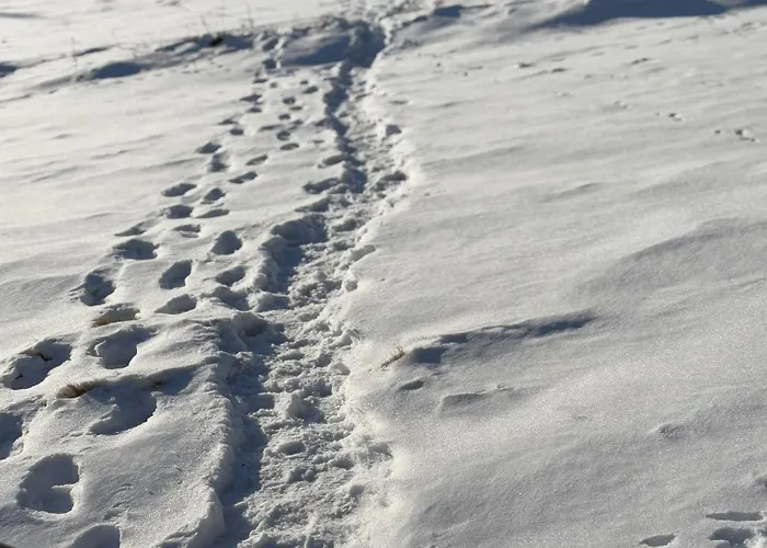 Przystanek Dzika Dolina * Ladek-Zdroj