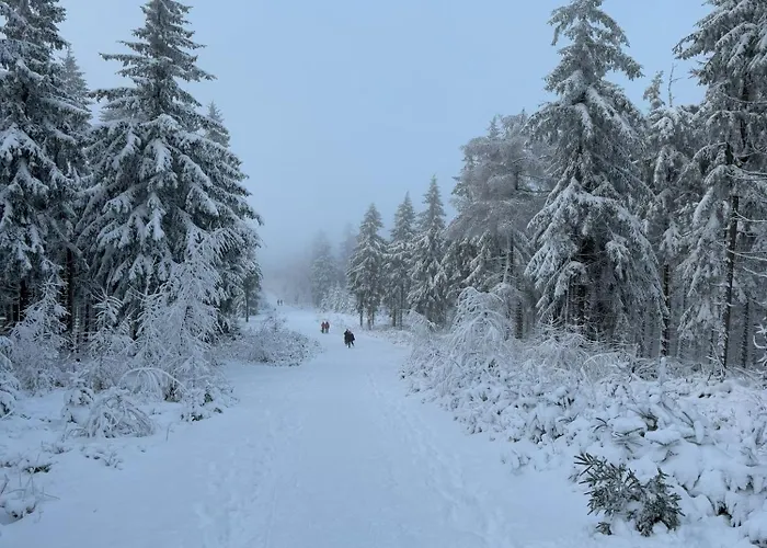 Przystanek Dzika Dolina Apartment Ladek-Zdroj