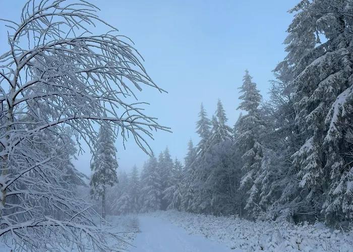 Apartment Przystanek Dzika Dolina Ladek-Zdroj