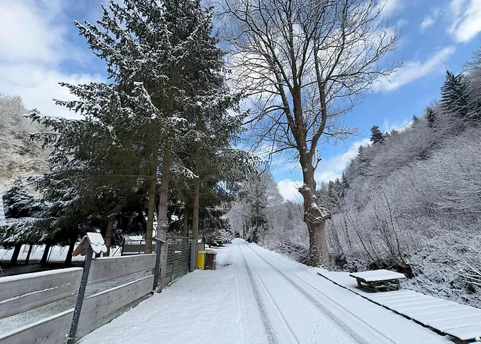 Apartment Przystanek Dzika Dolina *