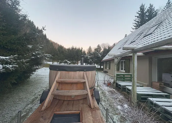 Przystanek Dzika Dolina Apartment *