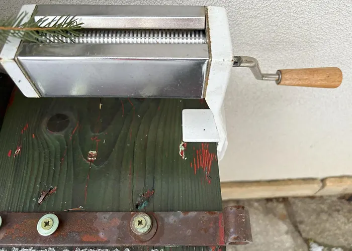 Przystanek Dzika Dolina