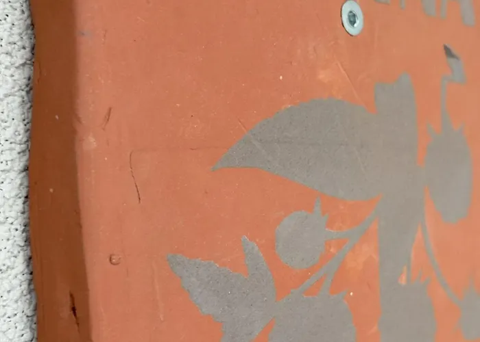 Apartment Przystanek Dzika Dolina *